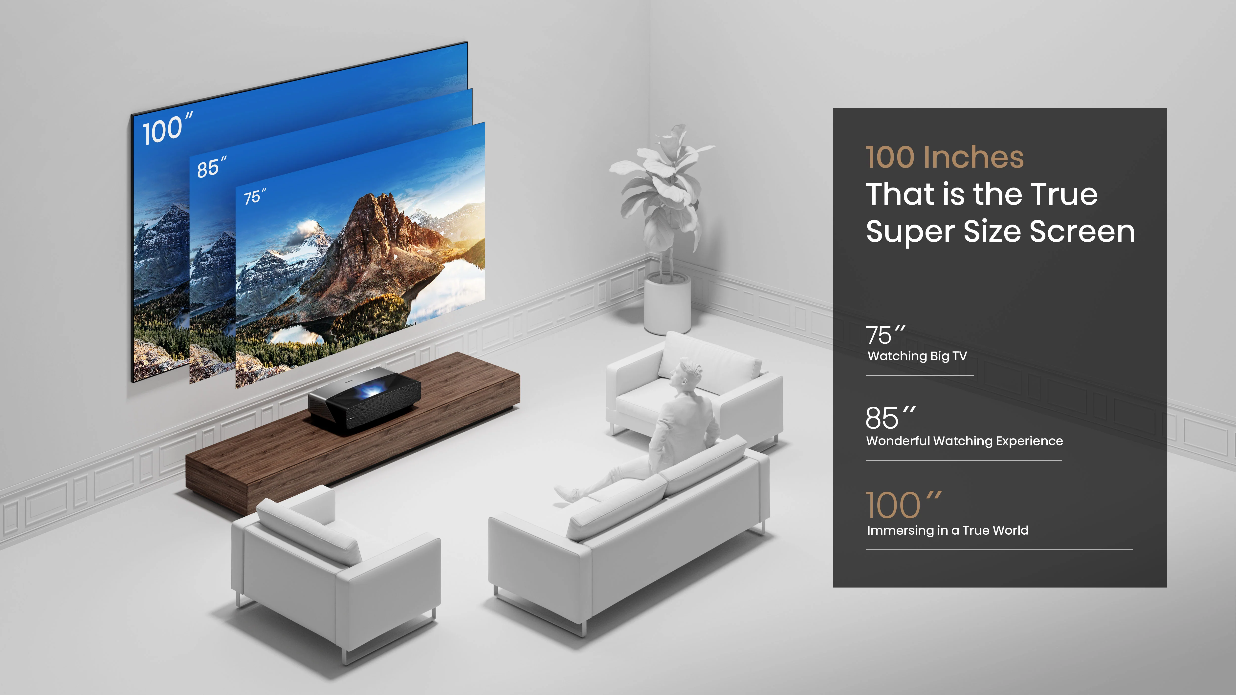 Hisense 110" Ultra High-Definition Ambient Light Rejecting projector Screen - Daylight - Image 4